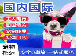 武汉机场托运国际宠物托运 【国